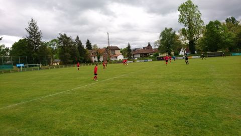 Frauen mit 5:0 Sieg