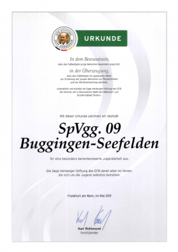 Urkunde DFB-Stiftung Sepp Herberger